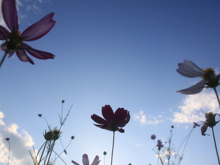 寧德師范學院網絡與新媒體2017級 楊玉帆攝