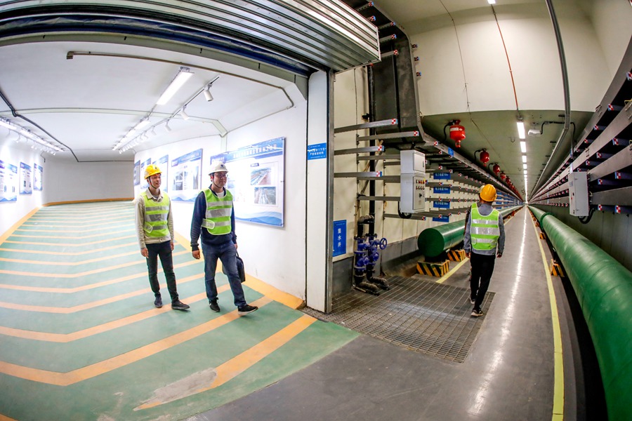 ������Ա�����ۺϹ���Ѳ�顣