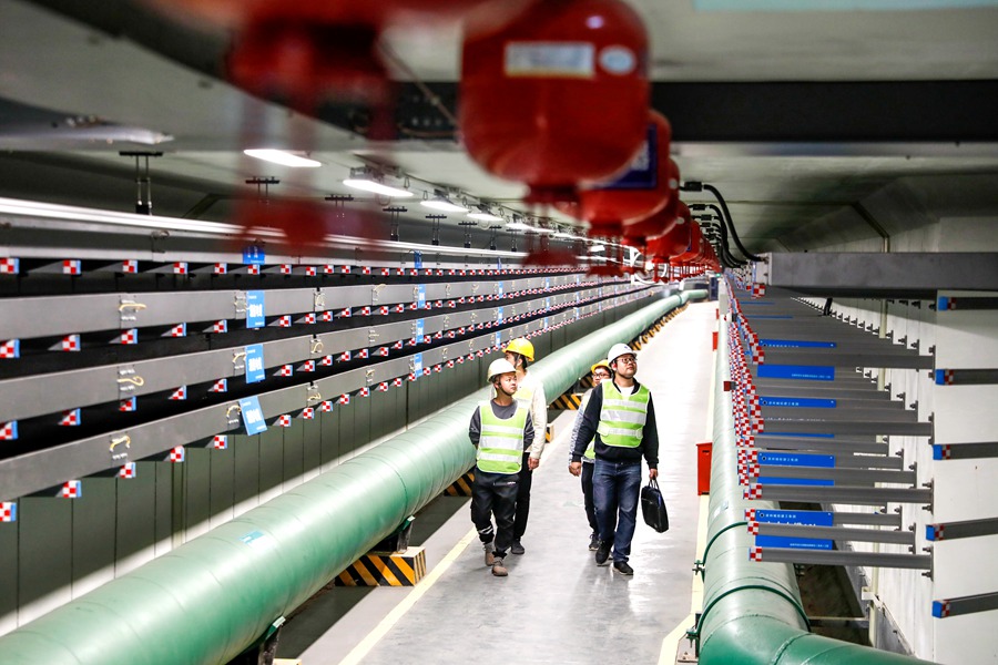 ������Ա���ۺϹ�����Ѳ�顣