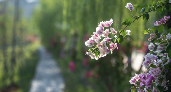 ���µ���Ժ�����ⰻȻ���������ˡ�����ѧԺ��ͼ