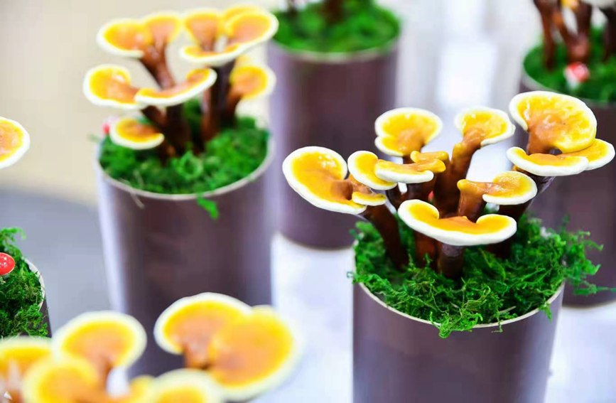 第二屆中國食用菌產業博覽會在福州舉行。主辦方供圖