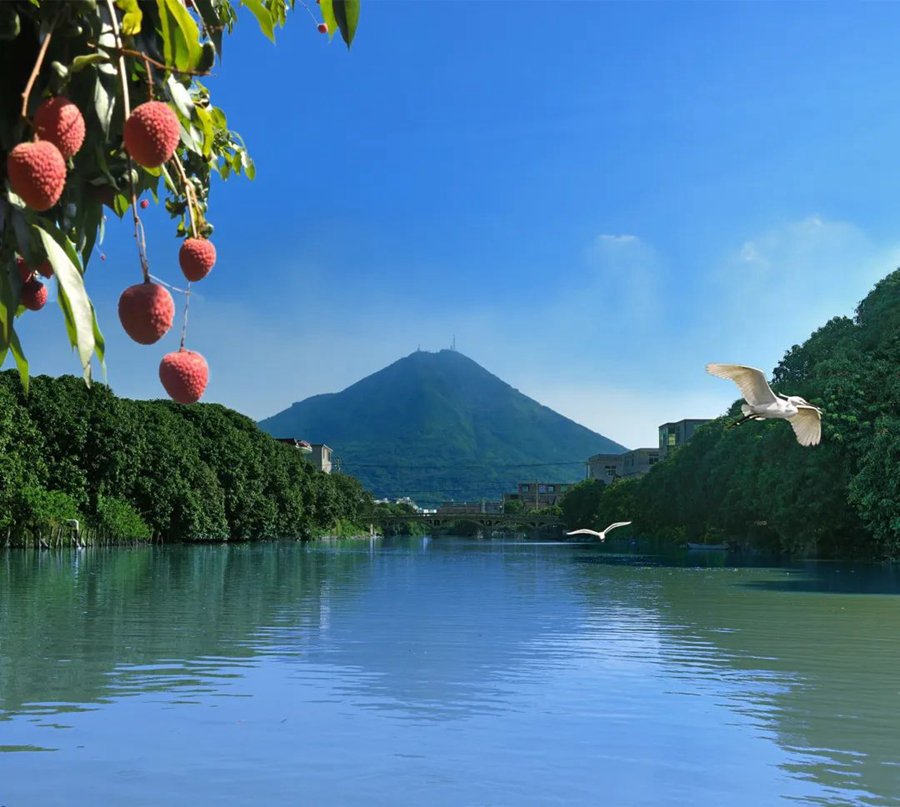 荔林水乡。蔡昊摄