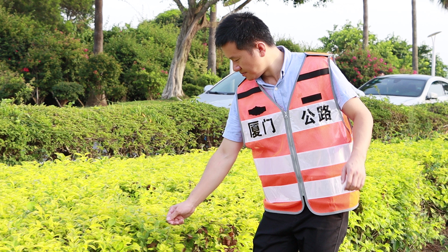 環島干道路長王兆樑巡查綠化帶。