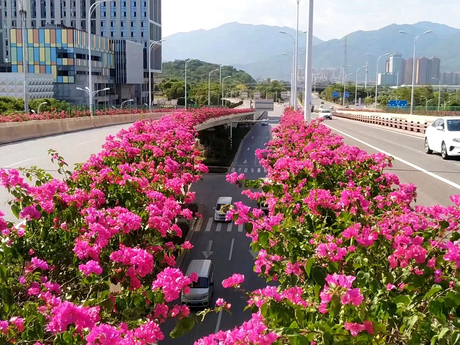 孚蓮路高架橋。