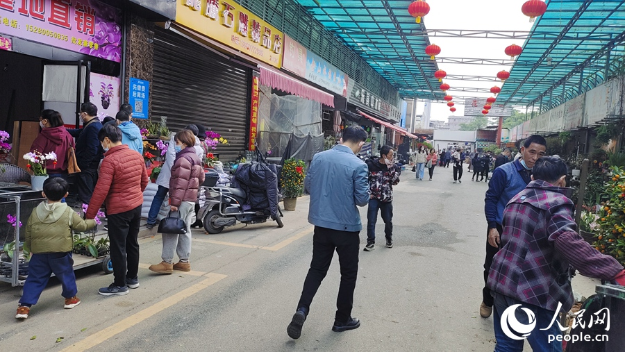 市民选购花卉。人民网 江苇杭摄