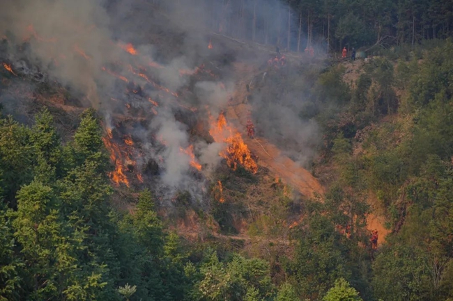 本次演练模拟基层林业站在卫星热点核查中发现早期火情。