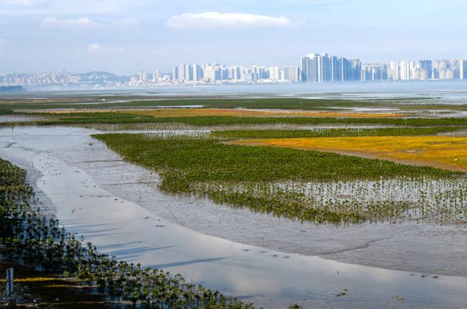 生态修复后的晋江市蓝色海湾。黄海摄