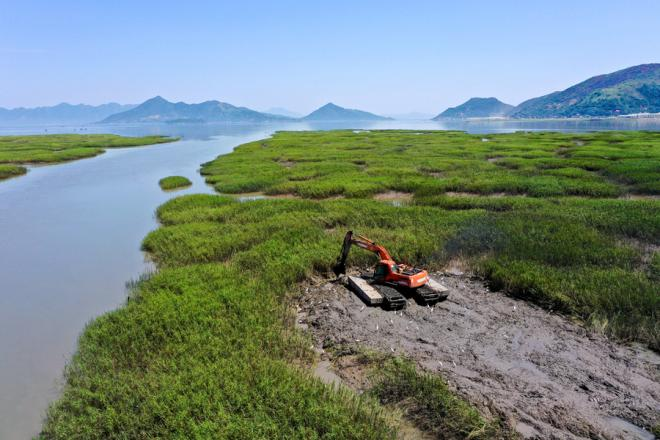 宁德市蕉城区沿海滩涂互花米草除治现场。黄海摄