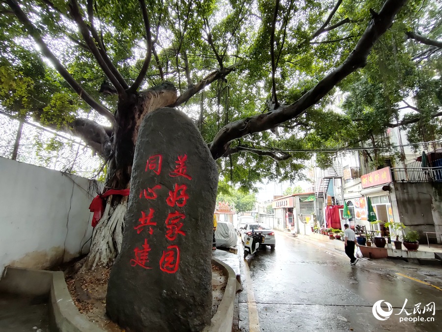 厦门市思明区一个城中村。人民网 陈博摄