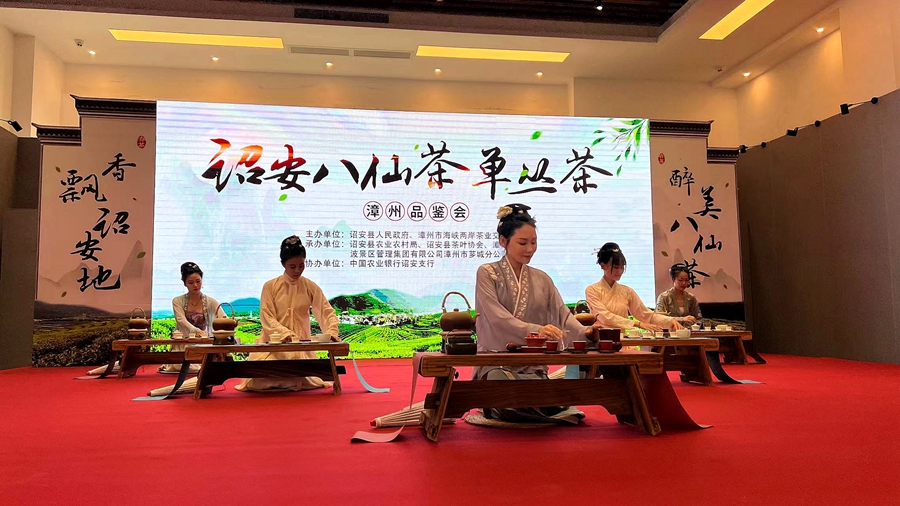 茶艺表演。诏安县委宣传部供图