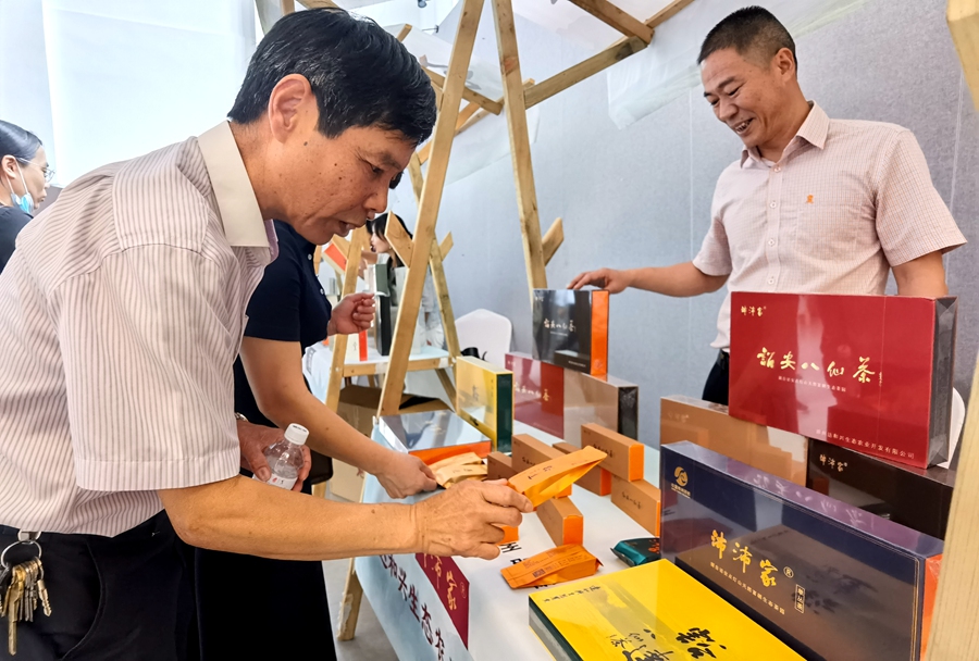  此次品鉴会邀请9家代表性茶企参展，在众多茶样中精心挑选诏安八仙茶、单丛茶茶样18个参加比赛。诏安县委宣传部供图