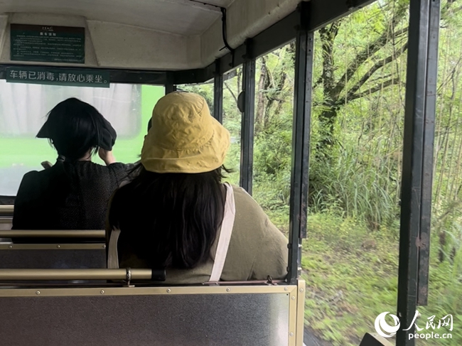 游客正乘坐观光“小火车”前往武夷山天游景区。人民网 钱嘉禾摄