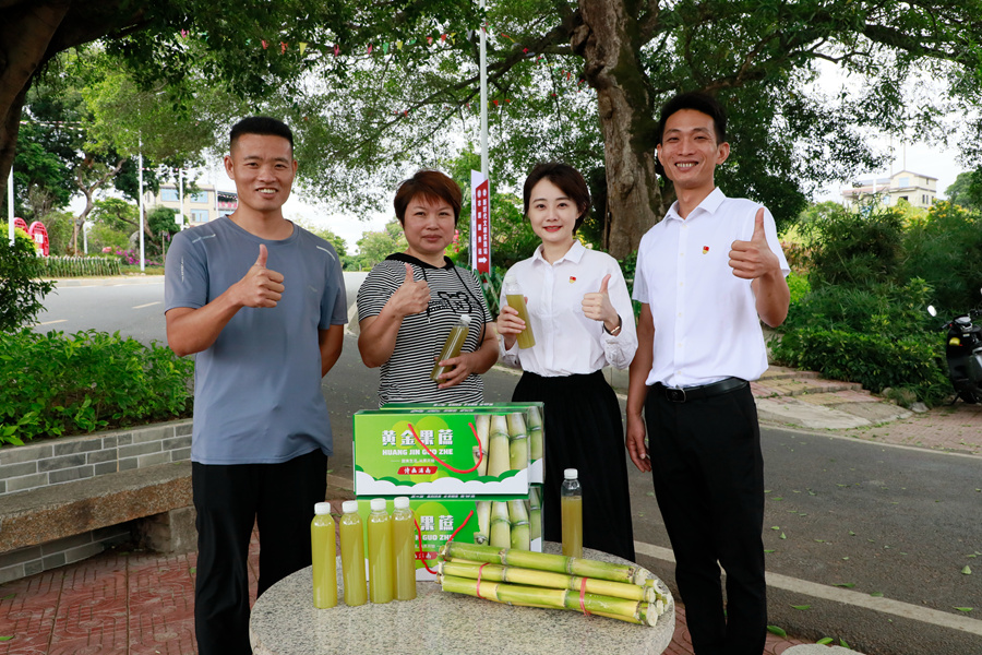 漳州市芗城区驻园坑村党支部书记、村委会主任林东海（右一）与村“两委”宣传黄金果蔗。黄跃斌摄