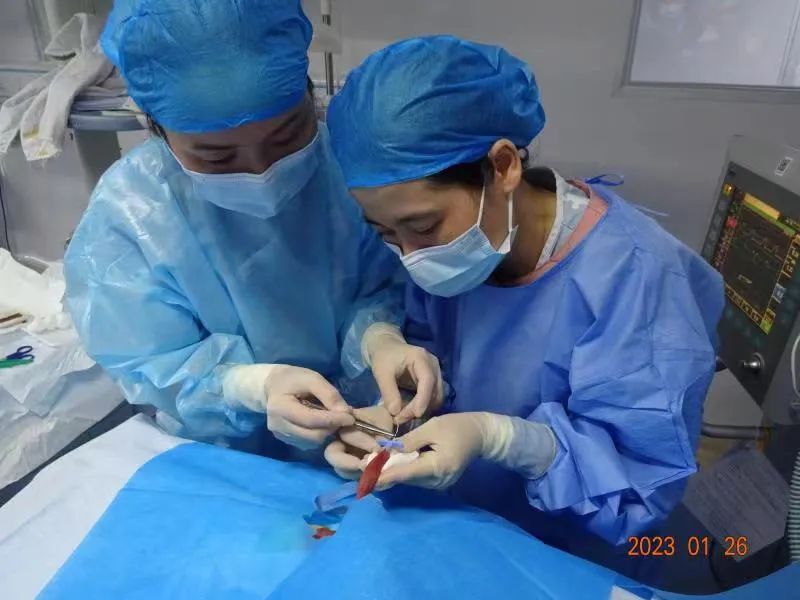 医护人员精心救治贝贝。厦门市儿童医院供图