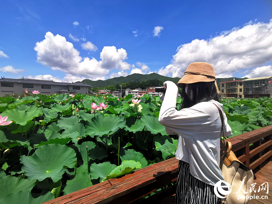 纪念馆前盛开的荷花，也吸引了不少游客拍照留念。人民网记者 林晓丽摄