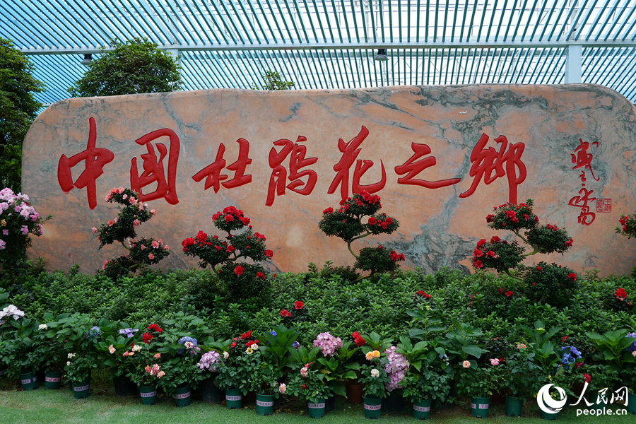永福鎮被稱為“中國杜鵑花之鄉”。人民網 楊灝昱攝