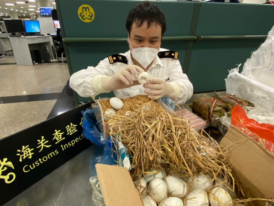 海关关员对查获物品进行查验。谢臻摄