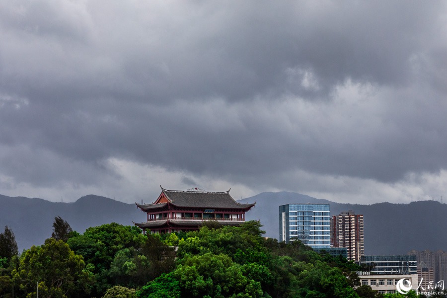 7月27日早晨，福州。人民网 焦艳摄