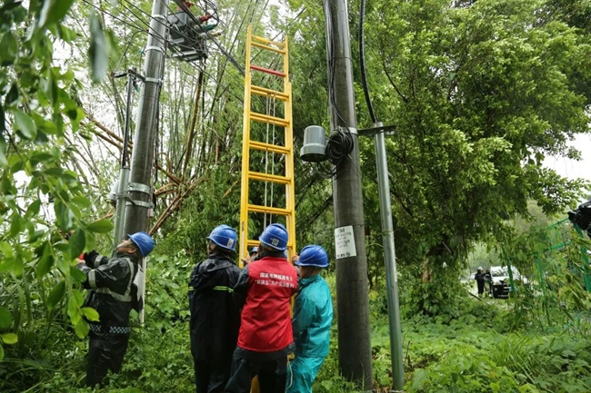 抓紧时间检修设备。国网福建电力供图