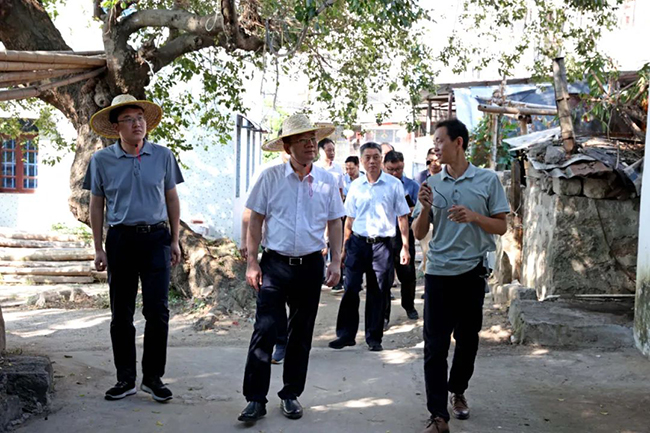 现场察看农村人居环境整治及黑臭水体治理工作。沈炜琦摄