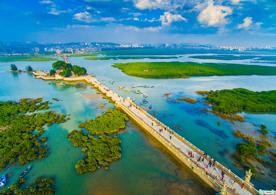 泉州湾河口湿地省级自然保护区。黄论谦摄