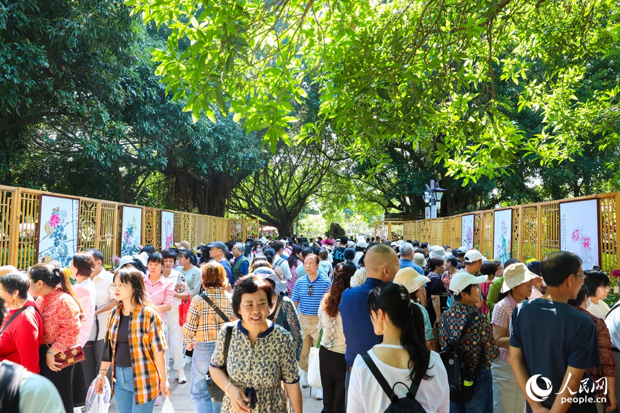 福州西湖金秋菊花展吸引市民及游客踏秋赏菊。人民网记者 焦艳摄