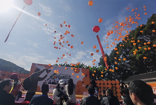 漫天飞舞的橙色气球，寓意着囦关脐橙将飞出古田，飞向更广阔的市场。吴友亮摄
