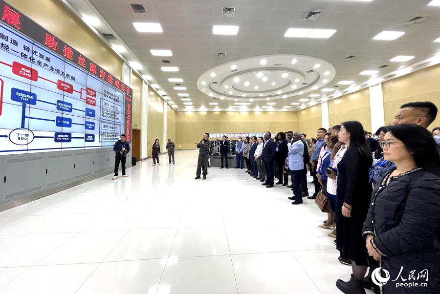 嘉宾代表们在中景石化集团公司里调研。人民网记者 陈蓝燕摄