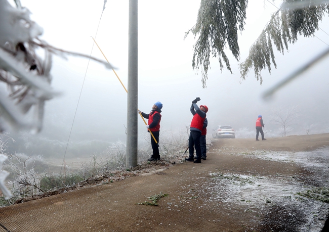 武平供电公司供电所人员对东留镇泥洋村中10千伏高凹分支线进行特巡特护清理树障。