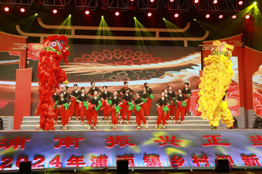 1月12日晚，漳州市芗城区浦南镇乡村迎新春晚会举行。郑文典摄