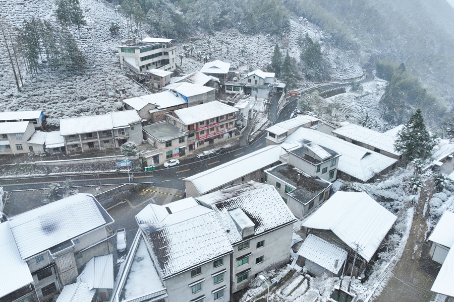 南平建阳区黄坑镇坳头村大雪纷飞。吴大灼 摄