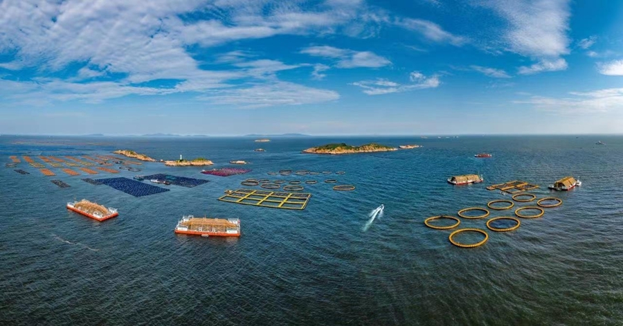 连江海域“百台万吨”深远海养殖平台。连江县融媒体中心供图