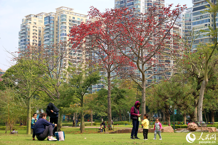 在厦门南湖公园，市民游客在木棉树下露营度假。人民网记者 陈博摄