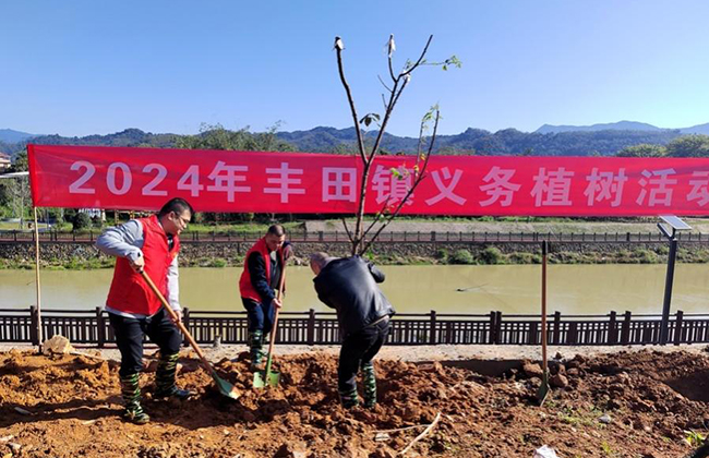 南靖县丰田镇组织全体干部职工开展义务植树。丰田镇政府供图