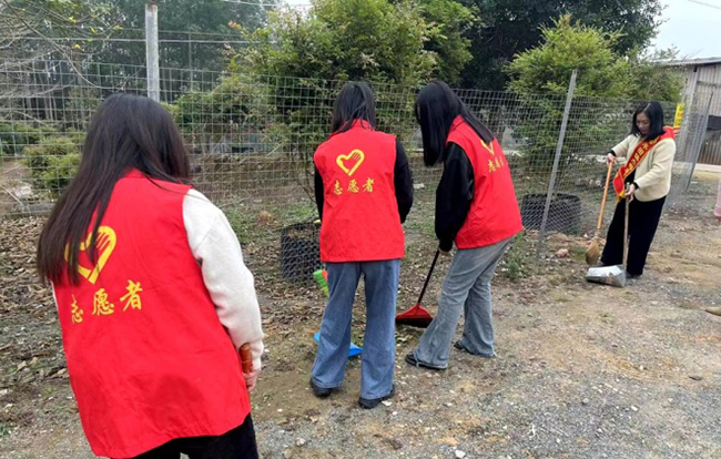 南靖县丰田镇组织志愿者在辖区开展环境整治活动。丰田镇政府供图