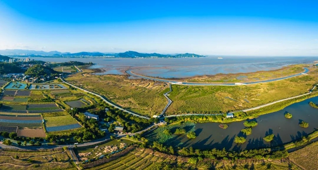 闽江河口湿地。