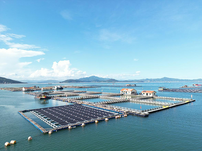 位于宁德三都澳白基湾海域的“风、光、储、充、用”微电网示范项目。黄维禄摄