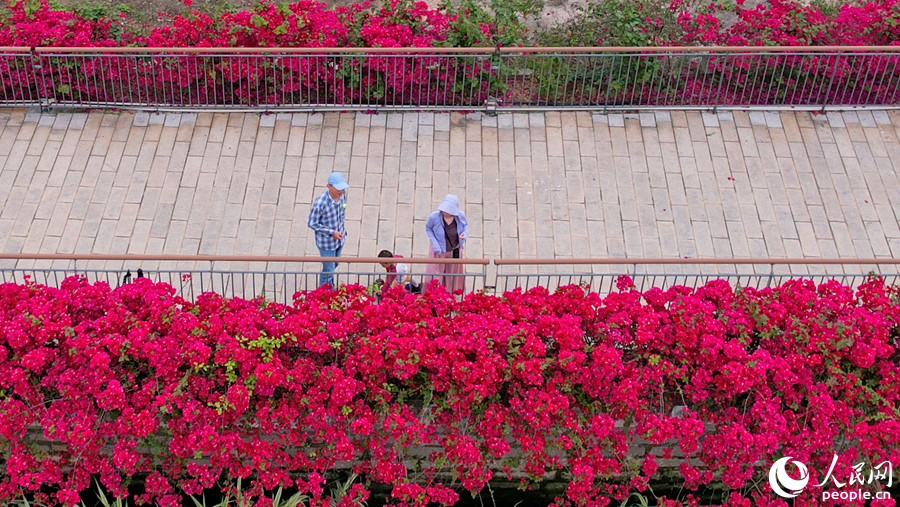市民游客漫步於“水上花廊”之中。人民網記者 陳博攝