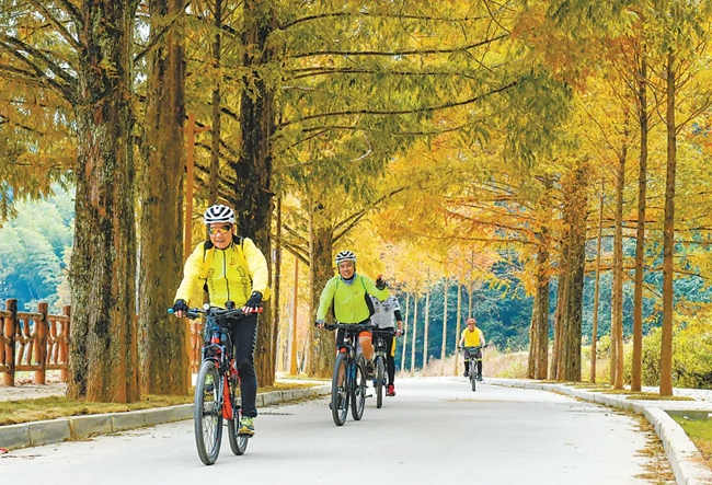 市民在将乐县龙栖山森林康养小镇骑行。