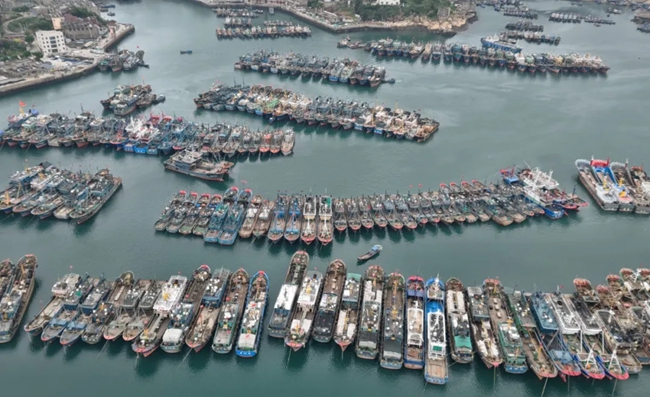 苔菉镇渔排数量众多。