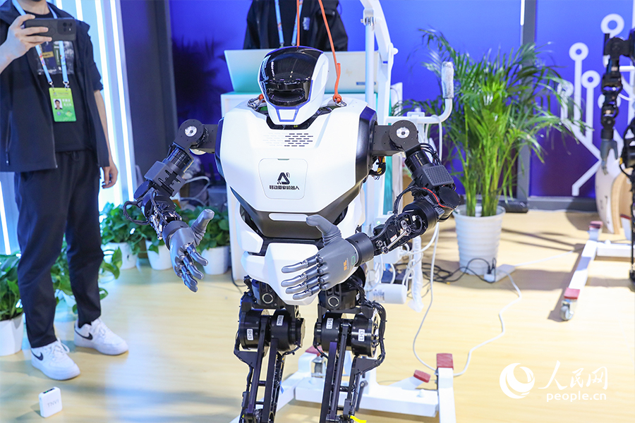 双足机器人“大力”在练太极。人民网 陈永整摄