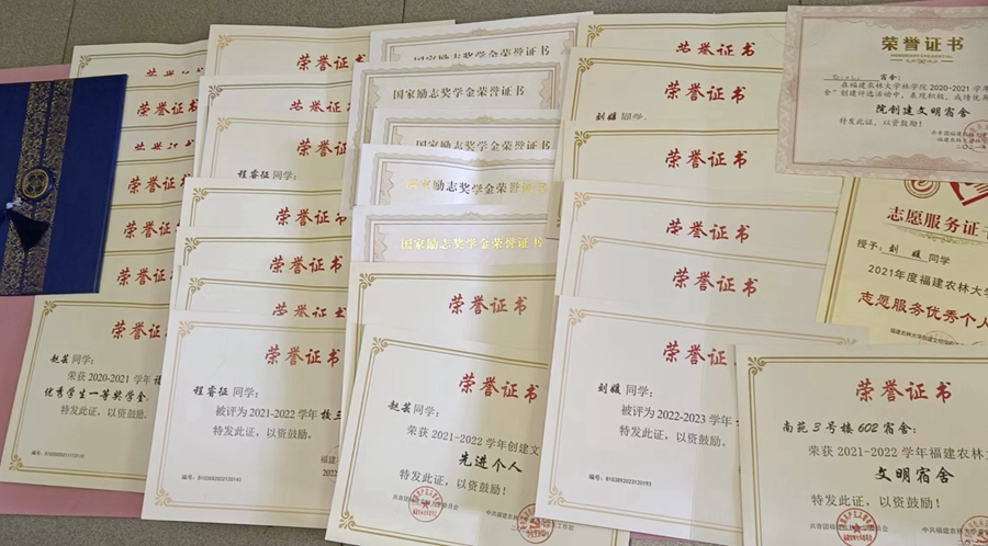 宿舍成员们大学四年所获得的奖状。刘媛供图
