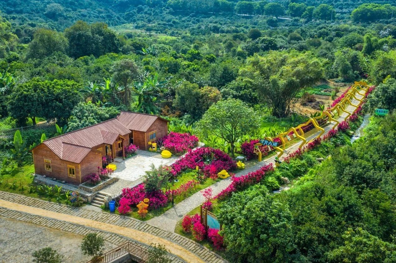 云霄下河盛产杨桃。图片来源《福建支部生活》