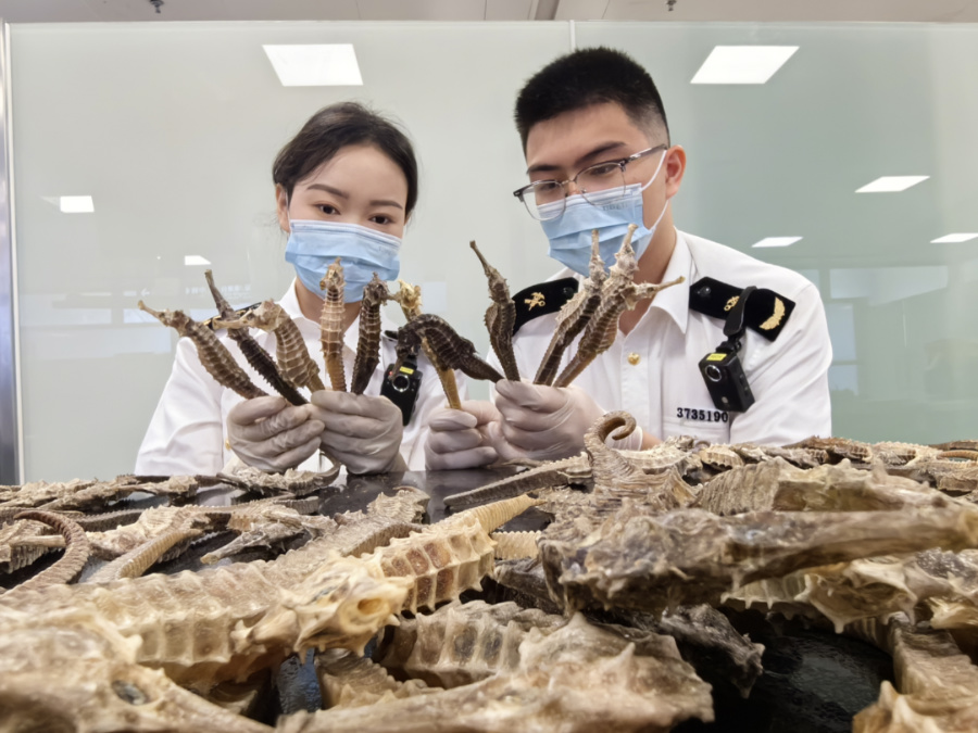 海關關員對查獲物品進行查驗。廈門海關供圖