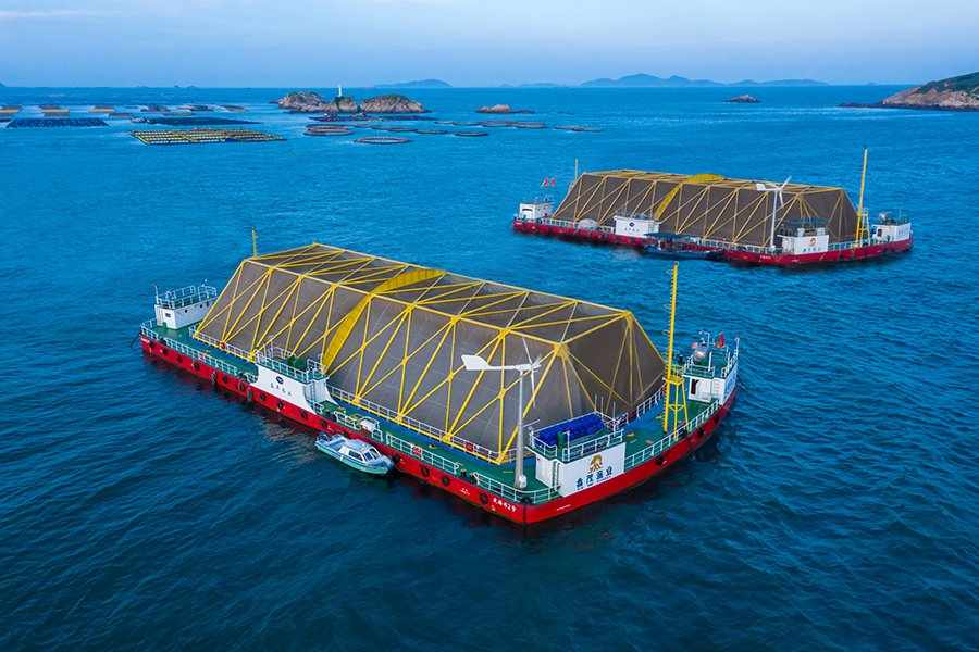 “定海湾1号”和“定海湾2号”深远海养殖平台。受访者供图
