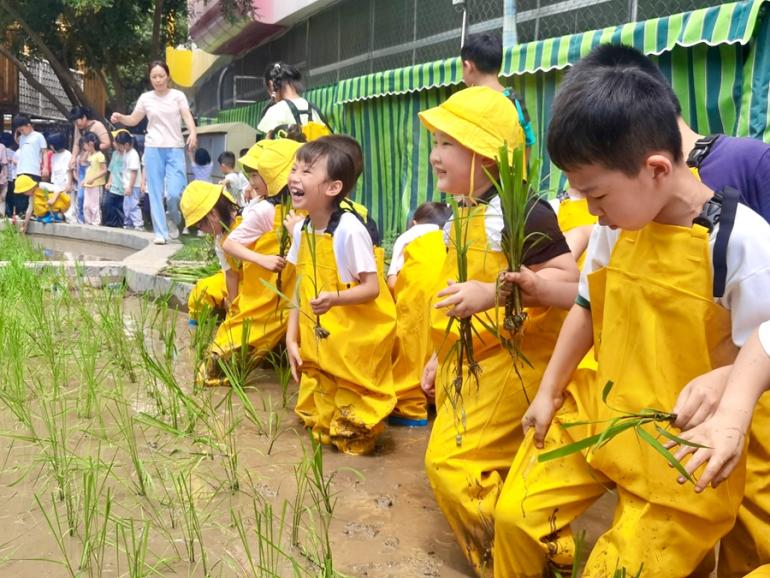 孩子们的插秧初体验。龙岩市妇联供图