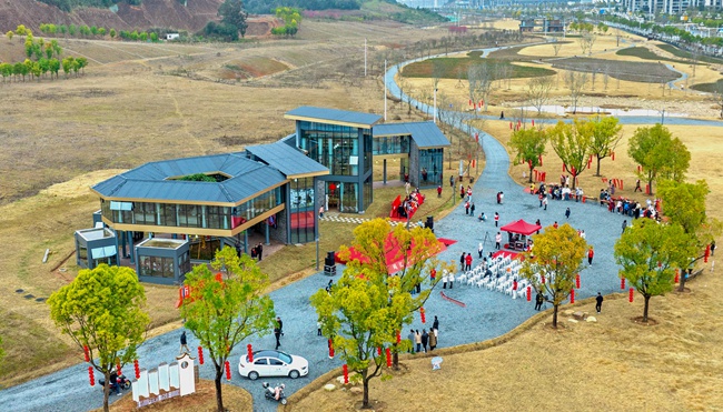 潭阳书舍·花海公益书吧全景