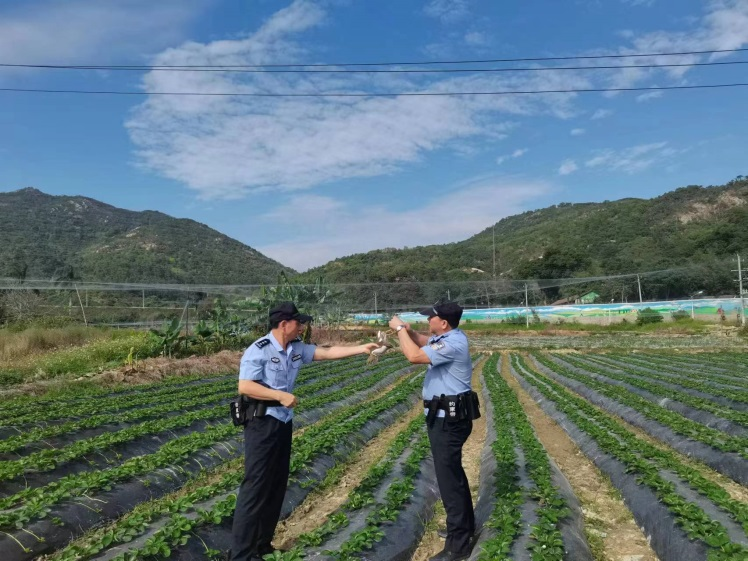 依托生态警务联勤工作站，为生态文明建设提供执法支撑。