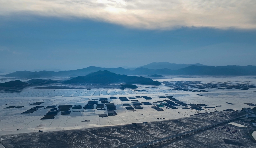 海参苗养殖海域