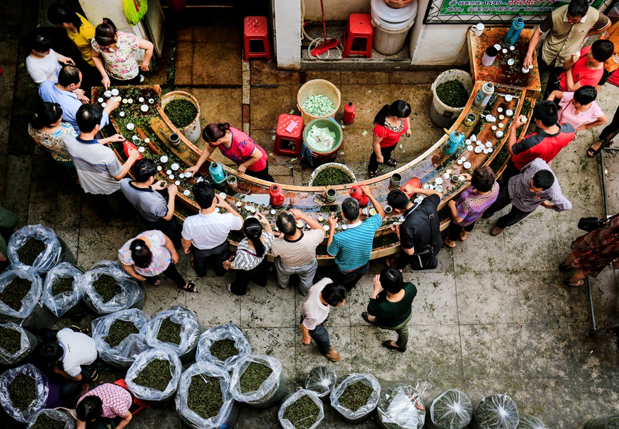 安溪茶都品茶一角。安溪县委宣传部供图